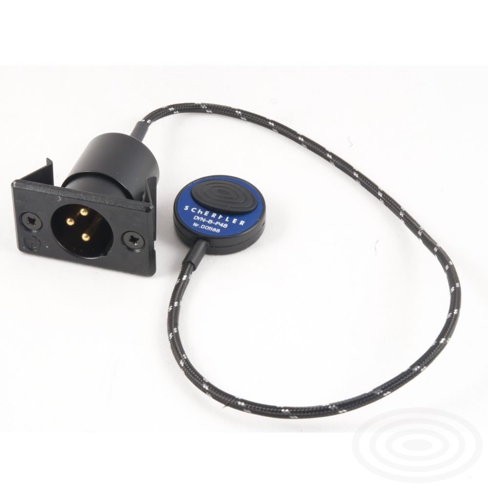 DYN B P48 photo